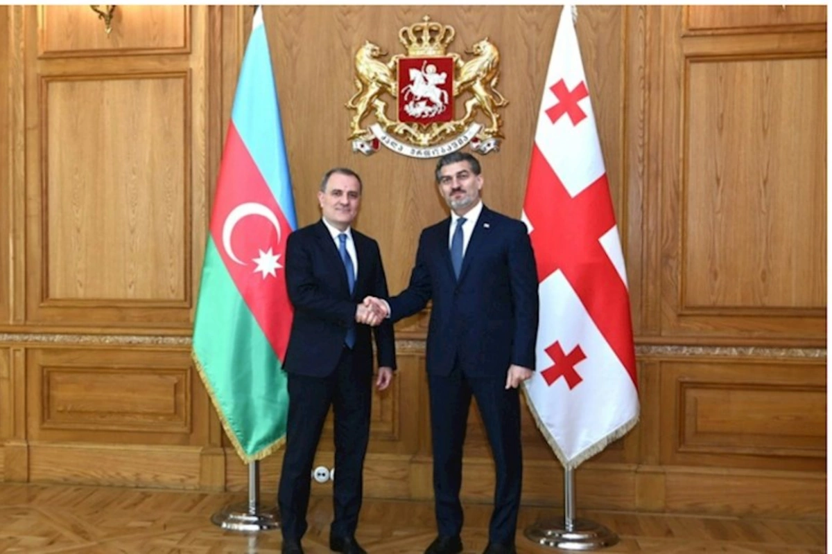 Ceyhun Bayramov Gürcüstan Prezidenti ilə görüşüb
