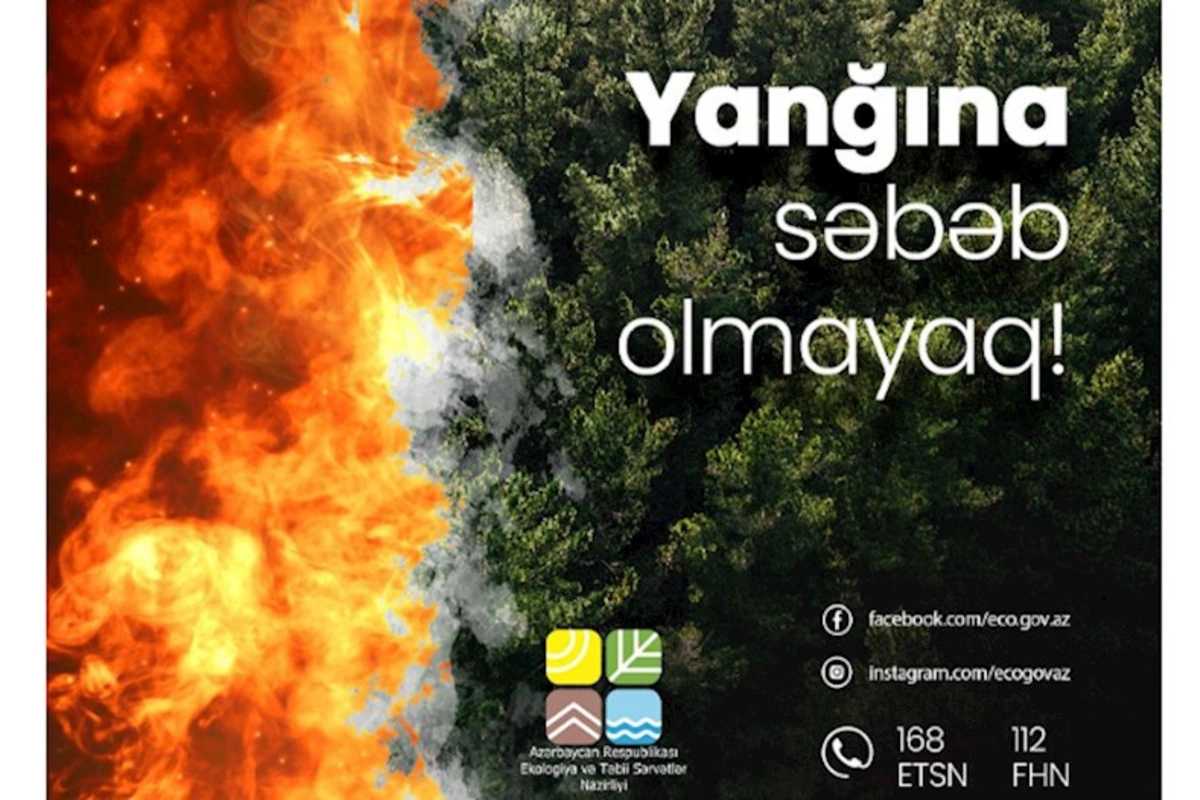 ETSN xəbərdarlıq etdi: Bununla təbiətə və ekosistemə ciddi zərər dəyir