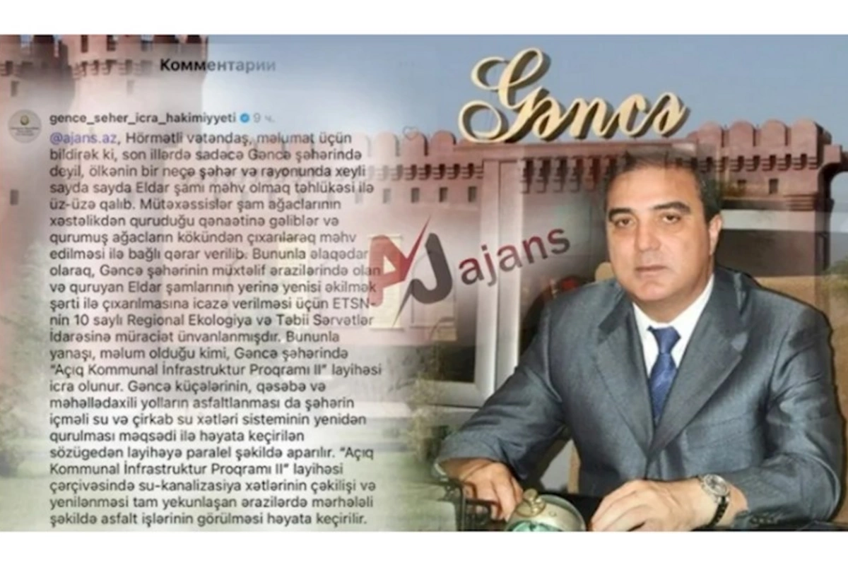 Gəncə şəhər İcra Hakimiyyətinin yalanı ifşa olundu — VİDEO/FOTOLAR