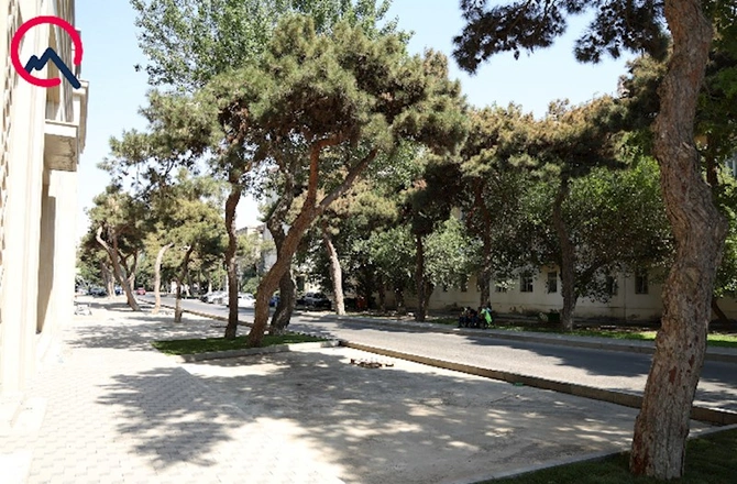 Bakıdakı bu parkinq qanunsuz imiş — FOTOLAR