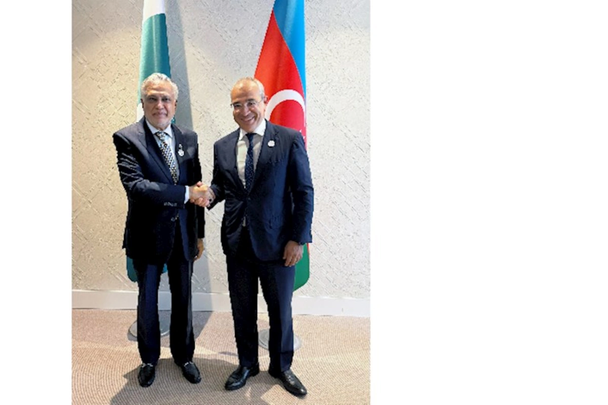 Mikayıl Cabbarov Pakistan rəsmiləri ilə görüşdü