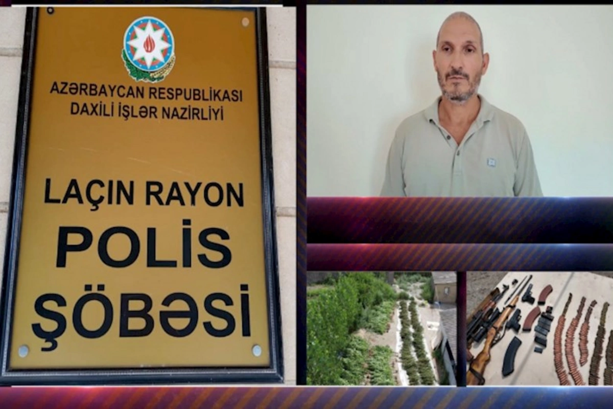 Laçın Rayon Polis Söbəsindən əməliyyat: 300-ə yaxın çətənə bitkisi və silah-sursat aşkarlandı