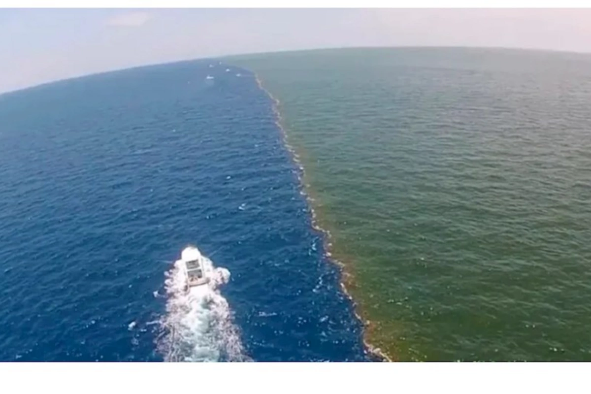 Sakit və Atlantik okeanın bir-birinə qarışdığı yerdə su niyə fərqlidir? — FOTO