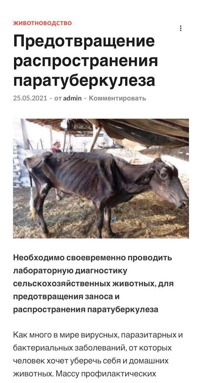 “O fotolar Azərbaycanda yox, Afrika və Rusiyada çəkilib...” — FOTOLAR