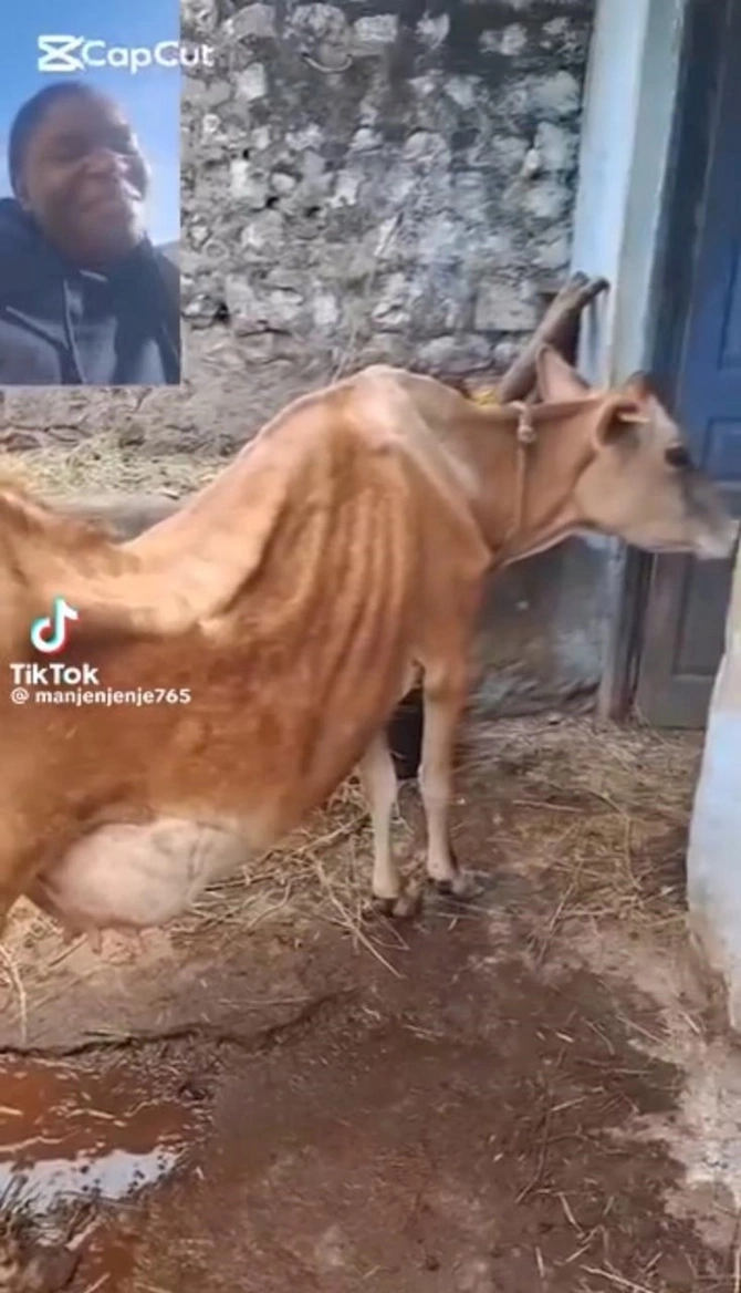 “O fotolar Azərbaycanda yox, Afrika və Rusiyada çəkilib...” — FOTOLAR