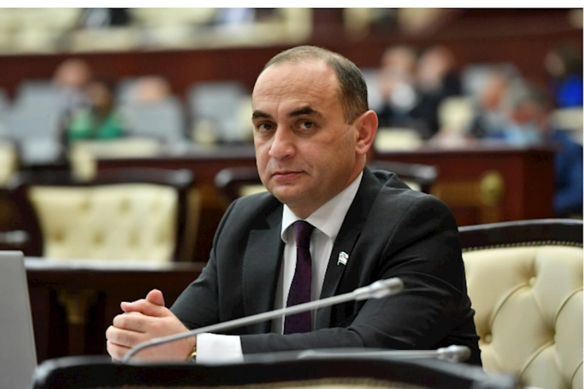 Deputat: “Əvvəl uşaq ağlamasın deyə əmzik verirdilər, indi də telefon”