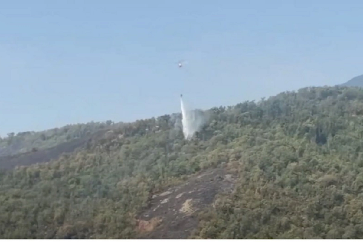Qarabağda güclü meşə yanğınları: Helikopterlər havaya QALDIRILDI — VİDEO