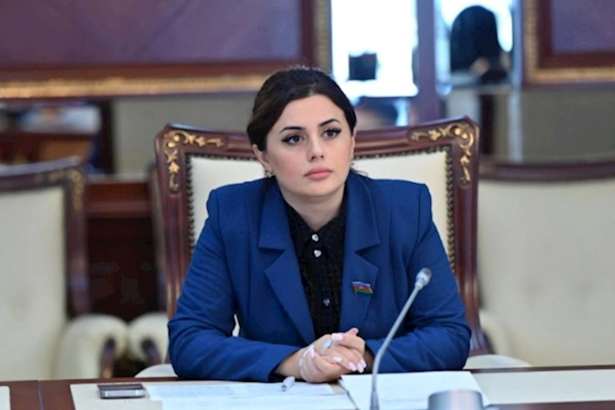 Deputat: Makronun və Qərbin “mülki” missiyası iflasa uğradı