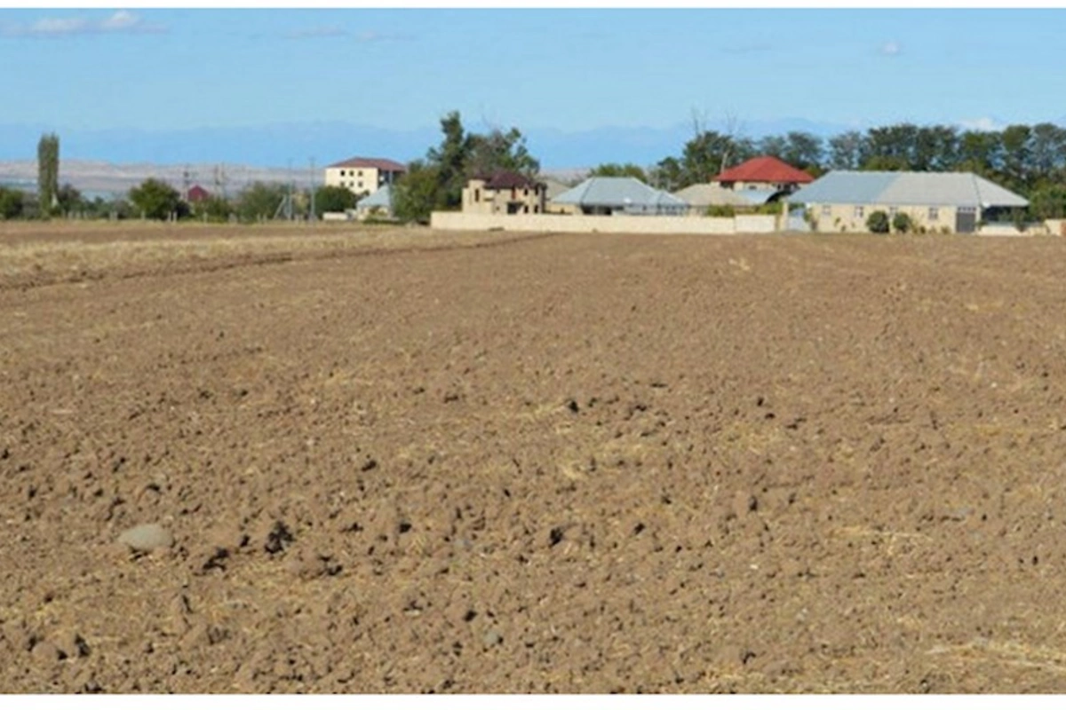 Xocalıya köçənlərə 5 hektar torpaq veriləcək — DETALLAR