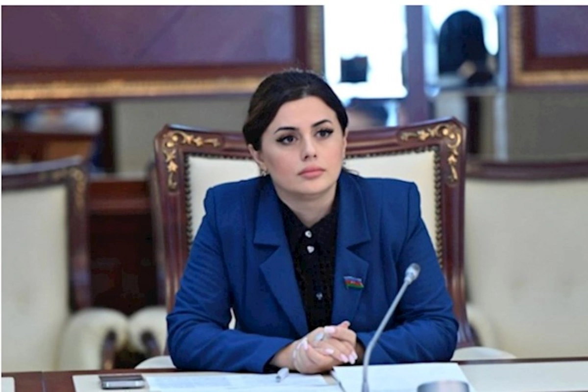 Laçında hava limanının inşası bölgənin beynəlxalq statusunu artıracaq — Deputat