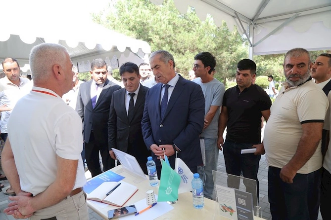 Hacıqabul rayonunda əmək yarmarkası keçirilmişdir — FOTOLAR