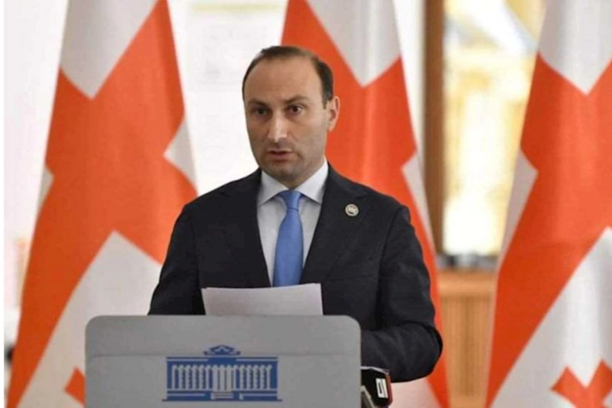 Gürcüstan DTX-nin rəisi istefa verdi