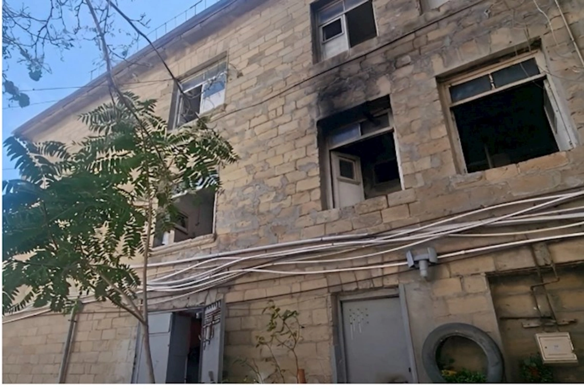 Sumqayıtda evləri qurdlar basıb — VİDEO