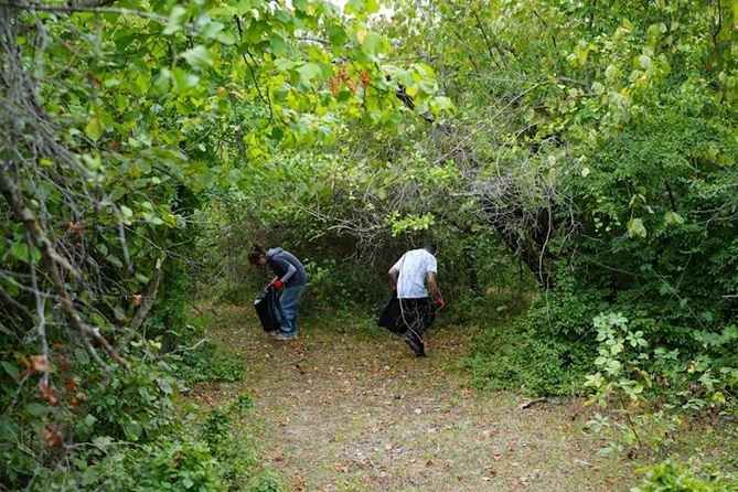 Ecoinnovators: 6000 nəfər ekoloji mövzularda məlumatlandırılacaq — FOTOLAR