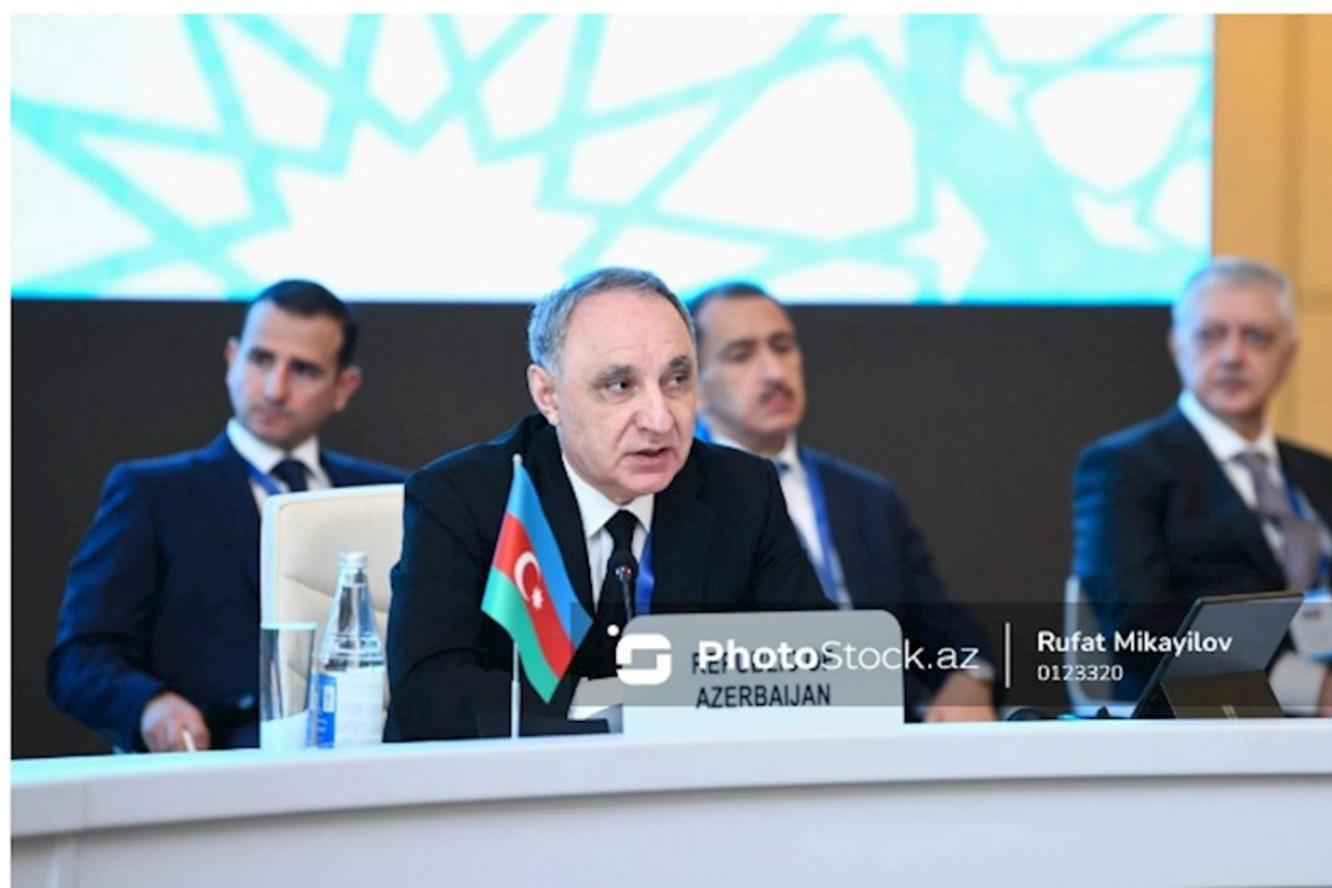 Kamran Əliyev beynəlxalq konfransda Zəngəzur dəhlizinin əhəmiyyətindən DANIŞDI