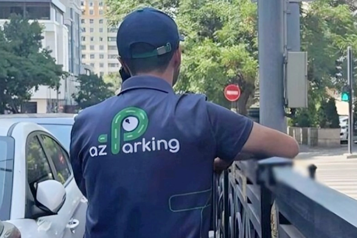 Professor Azparkingdən şikayətləndi: Bu qurumda kifayət qədər problemlər var