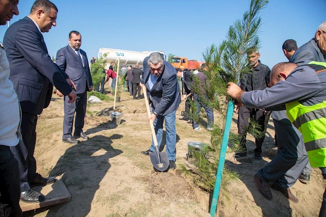 Salyanda Anım Günü ilə əlaqədar ağacəkmə aksiyası keçirildi — FOTOLAR