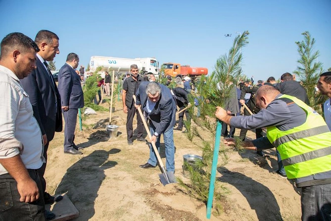 Salyanda Anım Günü ilə əlaqədar ağacəkmə aksiyası keçirildi — FOTOLAR