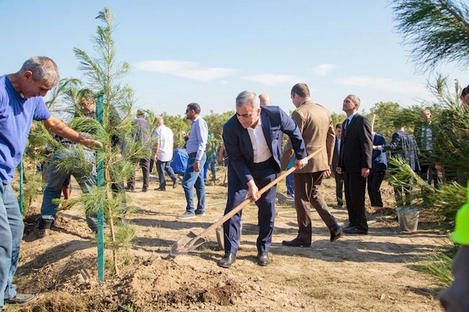 Salyanda Anım Günü ilə əlaqədar ağacəkmə aksiyası keçirildi — FOTOLAR