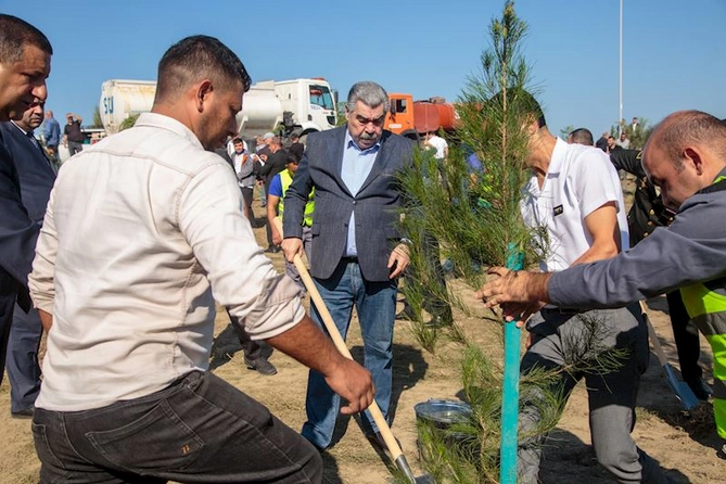 Salyanda Anım Günü ilə əlaqədar ağacəkmə aksiyası keçirildi — FOTOLAR