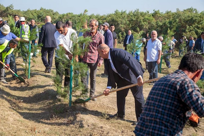 Salyanda Anım Günü ilə əlaqədar ağacəkmə aksiyası keçirildi — FOTOLAR