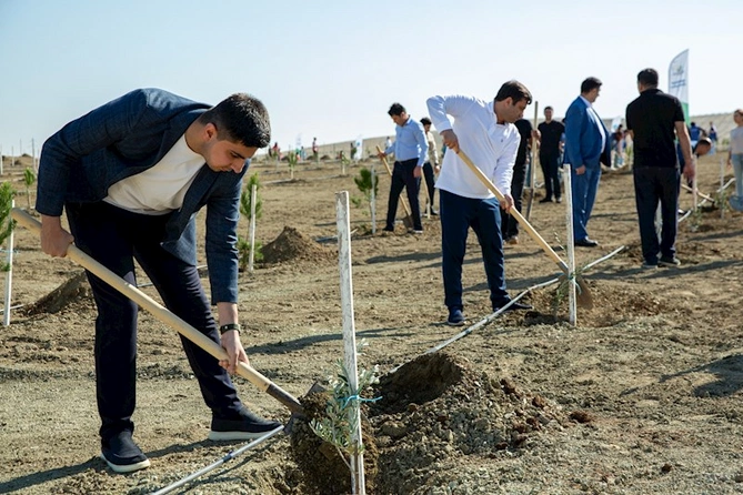 Anım Günü ilə əlaqədar ağacəkmə aksiyası keçirilib — FOTOLAR