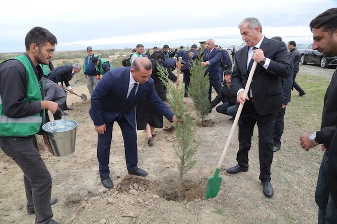 Hacıqabulda Anım Günü ilə əlaqədar ağacəkmə aksiyası keçirildi — FOTOLAR
