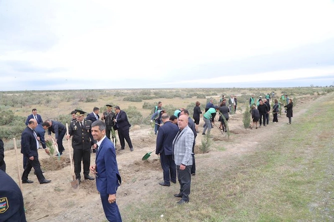 Hacıqabulda Anım Günü ilə əlaqədar ağacəkmə aksiyası keçirildi — FOTOLAR
