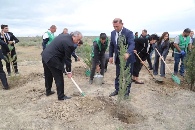 Hacıqabulda Anım Günü ilə əlaqədar ağacəkmə aksiyası keçirildi — FOTOLAR