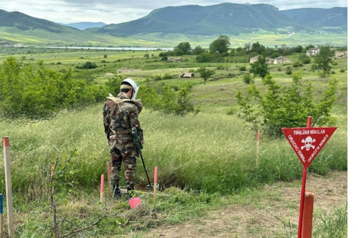 Qazaxın azad edilmiş kəndlərinin nə qədər hissəsi minalardan təmizlənib? — AÇIQLAMA