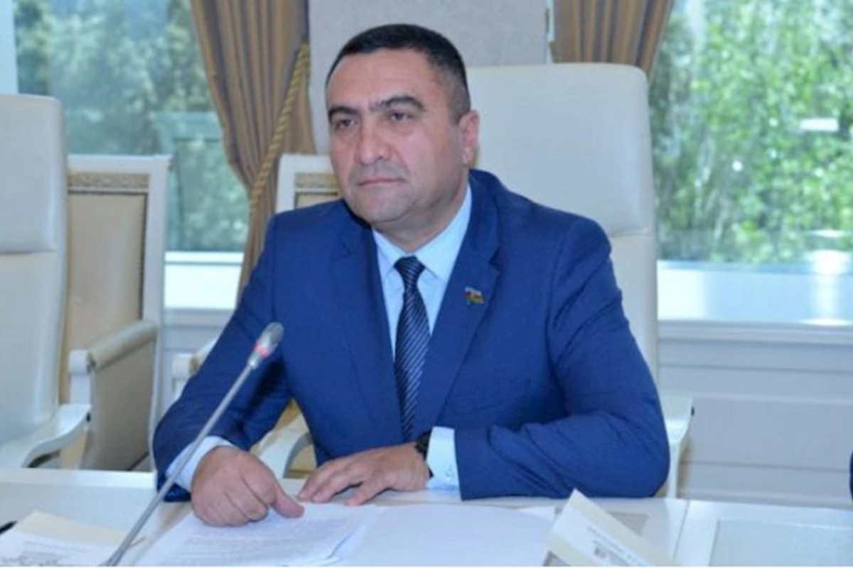 Bir həkimin iki müəssisədə işləmə praktikasını sistemə salmalıyıq — Deputat