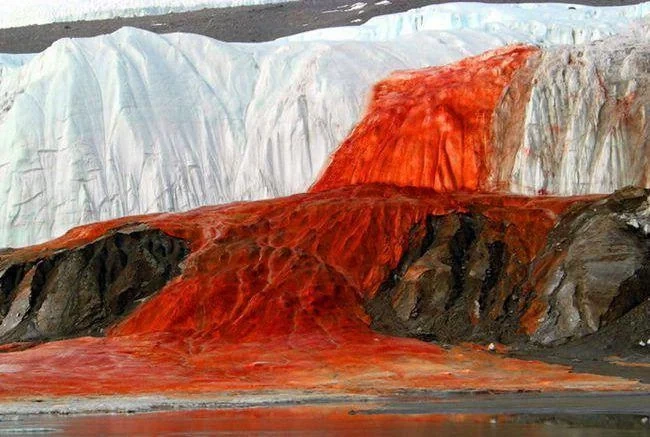 Antarktikadakı Qan şəlaləsinin sirri açıldı