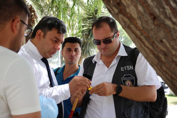 İçərişəhərdəki bütün ağacların qeydiyyatı və nömrələnməsinə başlanılıb — FOTOLAR