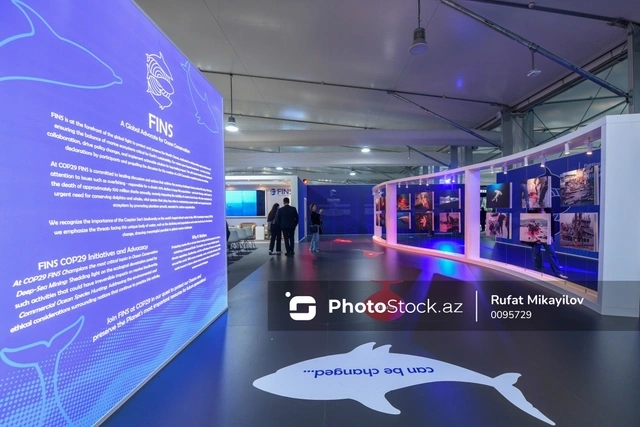 COP29-da üç ölkənin ekofəalları Norveçin balina ovuna qarşı etiraz aksiyası keçiriblər — FOTOLAR COP29-da üç ölkənin ekofəalları Norveçin balina ovuna qarşı etiraz aksiyası keçiriblər — FOTOLAR