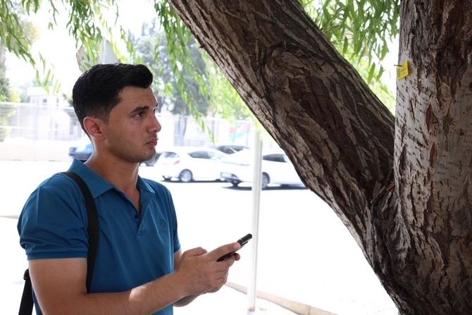 İçərişəhərdəki bütün ağacların qeydiyyatı və nömrələnməsinə başlanılıb — FOTOLAR