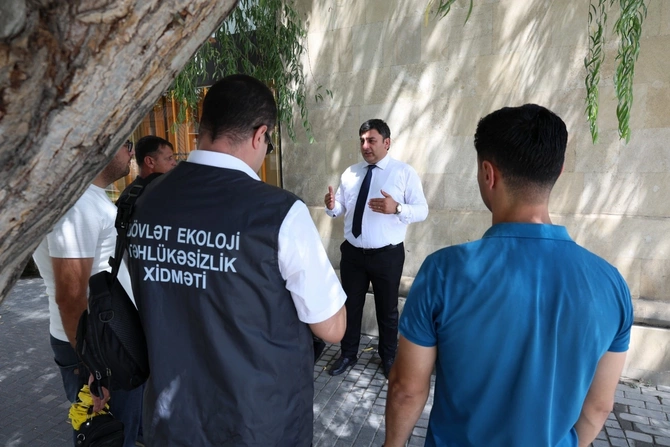 İçərişəhərdəki bütün ağacların qeydiyyatı və nömrələnməsinə başlanılıb — FOTOLAR