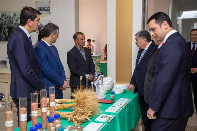 Salyanda sosial-iqtisadi inkişafla bağlı hesabat yığıncağı keçirildi — FOTOLAR Salyanda sosial-iqtisadi inkişafla bağlı hesabat yığıncağı keçirildi — FOTOLAR