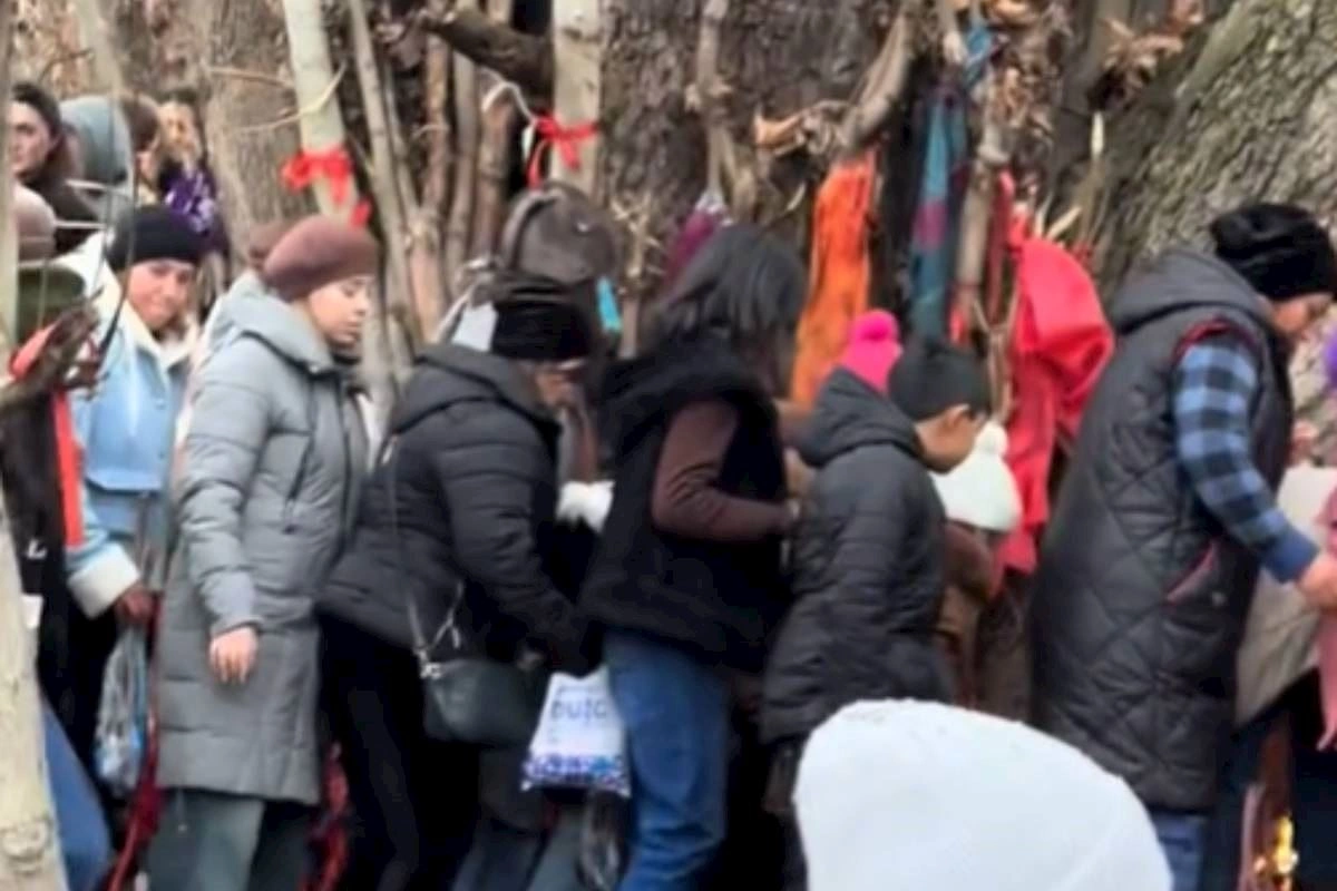Hər kəs Tovuzdakı bu görüntülərdən danışır — AÇIQLAMA