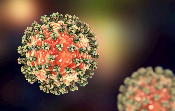 Təhlükəli virus şimala doğru yayılır, 130 nəfər ölüb