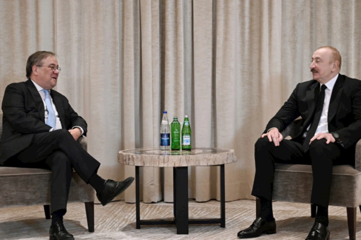 Prezident Bundestaqın xarici siyasət komitəsinin sədri ilə görüşdü — FOTOLAR