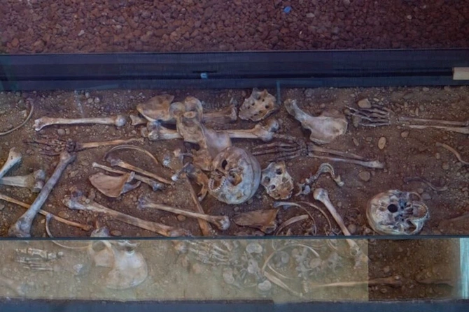 İstanbulun mozaika irsini Zeytinburnu Mozaika Muzeyində kəşf edin — FOTOLAR