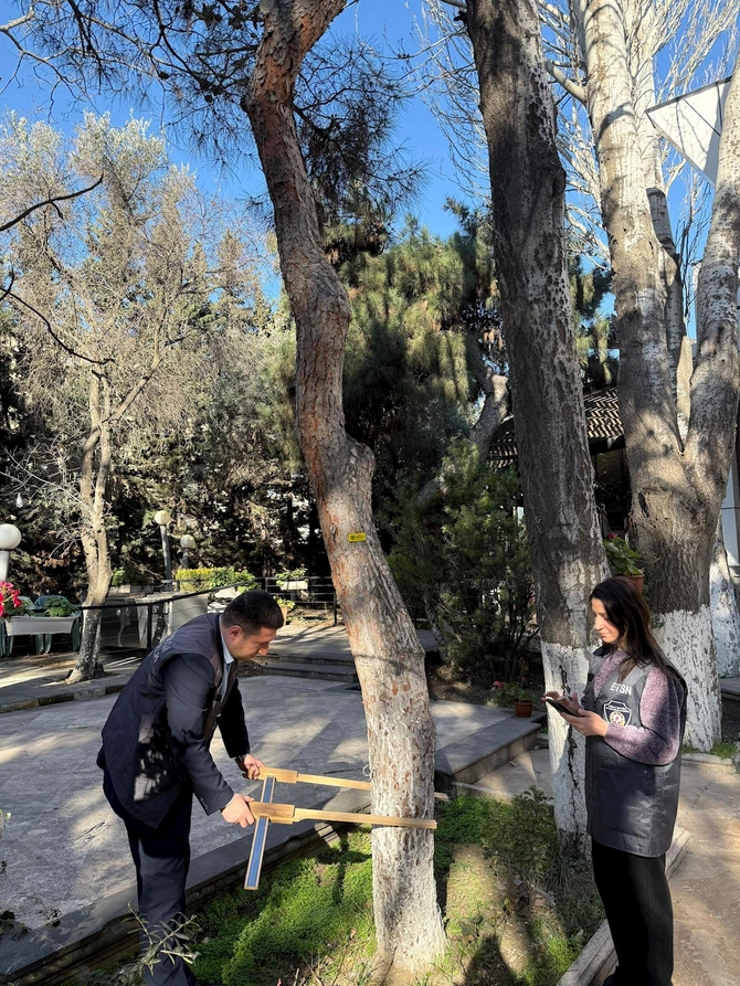 Ağacların nömrələnməsi və inventarlaşdırılması işləri davam etdirilir — FOTOLAR