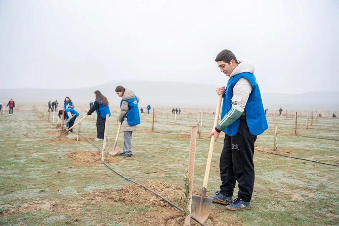 Xocalı soyqırımı qurbanlarının xatirəsinə həsr olunmuş ağacəkmə aksiyası keçirilib — FOTOLAR