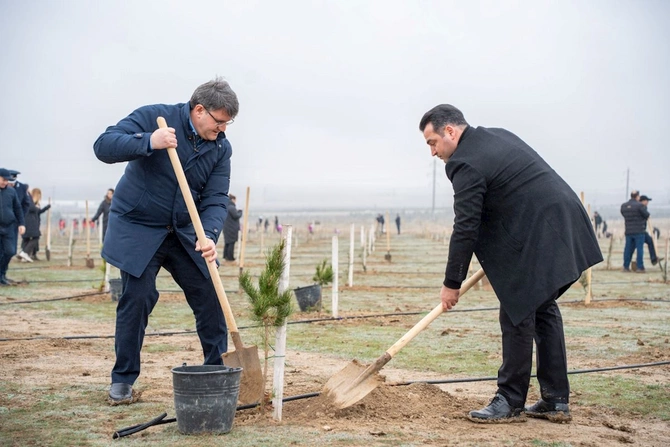 Xocalı soyqırımı qurbanlarının xatirəsinə həsr olunmuş ağacəkmə aksiyası keçirilib — FOTOLAR