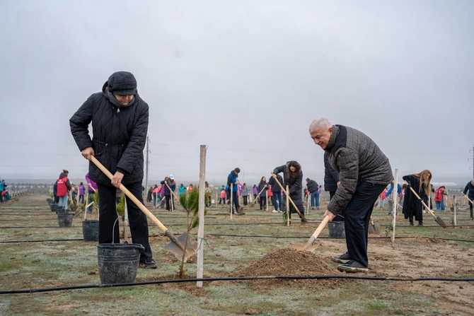 Xocalı soyqırımı qurbanlarının xatirəsinə həsr olunmuş ağacəkmə aksiyası keçirilib — FOTOLAR