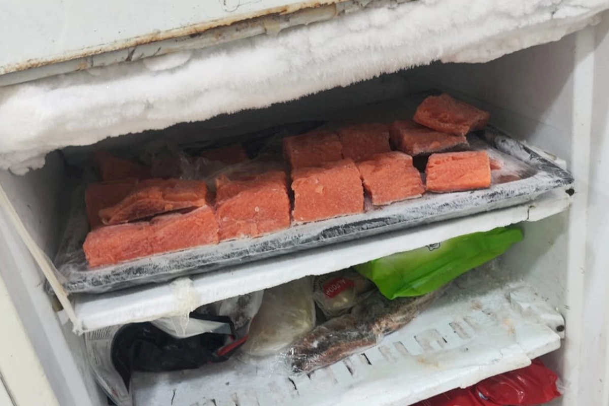“SushiNano”nun fəaliyyəti dayandırıldı — Nöqsanlar var imiş