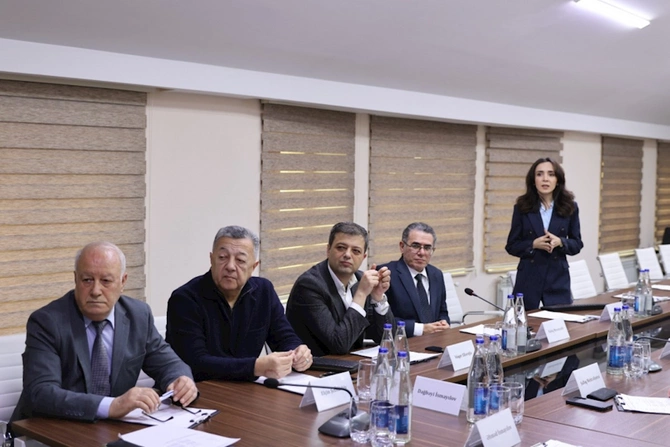 Medianın İnkişafı Agentliyinin Müşahidə Şurasının bu il üzrə ilk iclası keçirildi — FOTOLAR