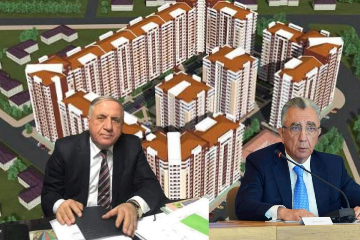 MTK-ya ağac kəsməyə Eldar Əzizov icazə verib? — VİDEO