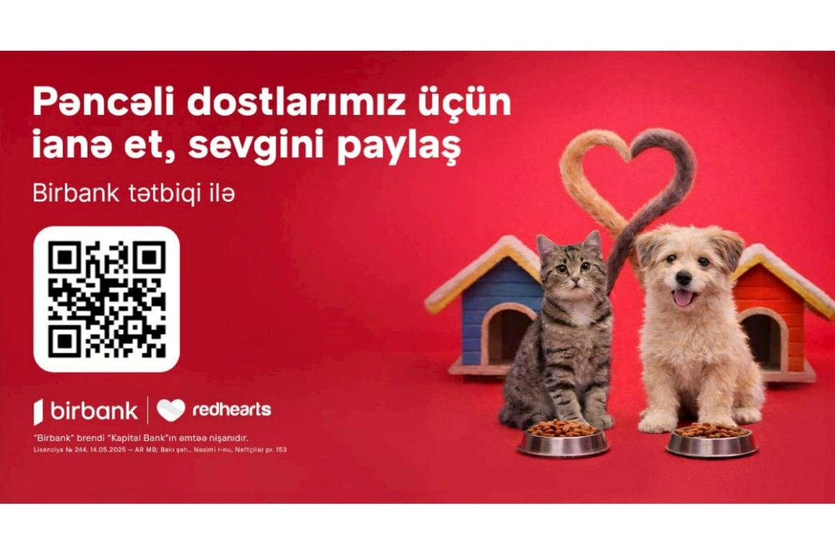“Pəncəli Ürəklər” sahibsiz heyvanlara dəstək aksiyası uğurla davam edir
