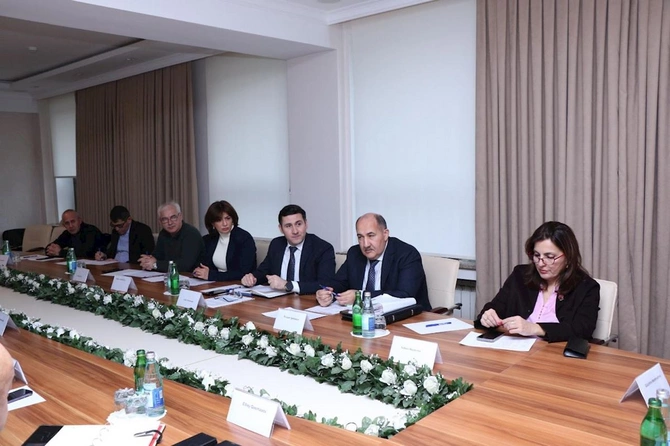 Ekspert Şurasının növbəti iclası keçirilib — FOTOLAR
